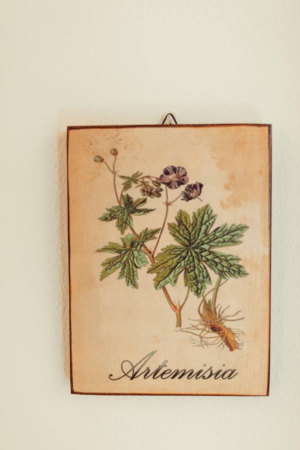 B&B Artemisia 阿尔盖罗 外观 照片